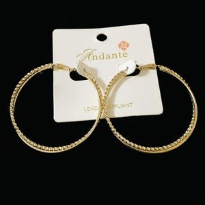 Andante Gold Toned Hoop Earrings
